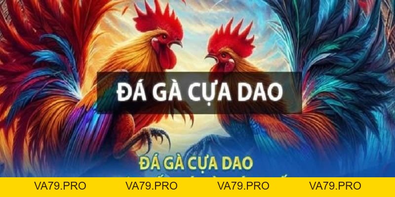 Đá Gà Cựa Dao – Kinh nghiệm đá gà bách chiến bách thắng - Va79