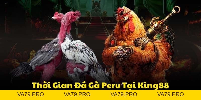 ĐÁ GÀ KING88 - Va79