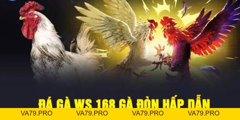 Đá Gà WS168 King88 – Đấu Trường Online Số 1 - Va79