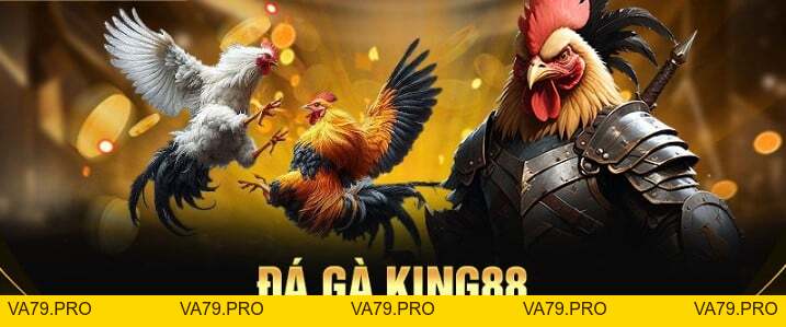 ĐÁ GÀ KING88 - Va79